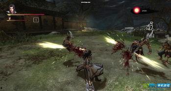 魔泣视频,揭秘奇幻世界中的惊险冒险与神秘力量