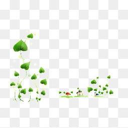 画藤蔓视频,视频揭秘