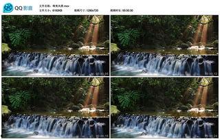 小溪流视频,探寻自然之美与生命之源