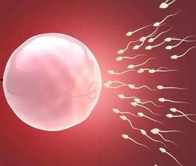 卵子排出视频,揭秘女性生殖奥秘