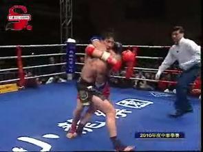 世界散打比赛视频,激情碰撞,技艺巅峰对决