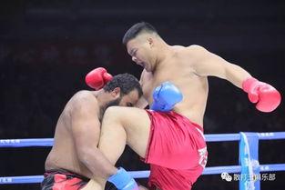 世界散打比赛视频,激情碰撞,技艺巅峰对决