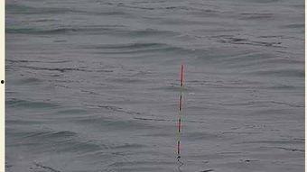 调浮标视频,海洋监测与科研的利器